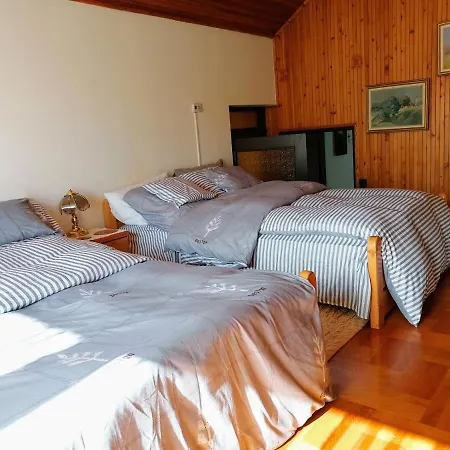 Apartmán Julia Vendeghaz *