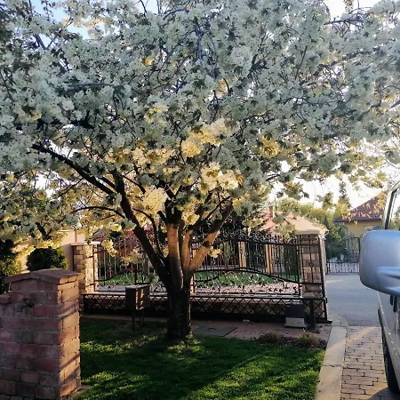 Julia Vendeghaz アパート Nyíregyháza